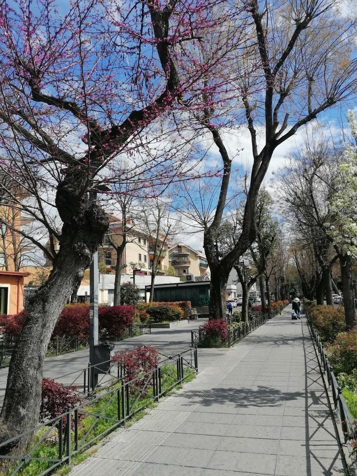 Apartamento La Passeggiata Monterotondo  Exterior foto